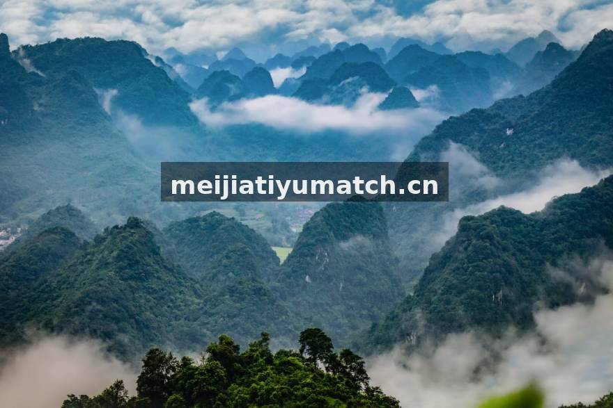 美嘉体育编辑部团队协作场景